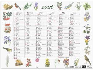 Väggkalender Stora Naturalmanackan 2026