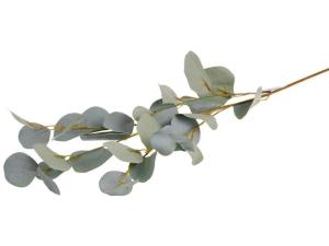 Dekorationskvist Eucalyptus 90cm