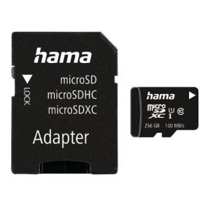 Minneskort HAMA Micro SDHC 256GB CL10