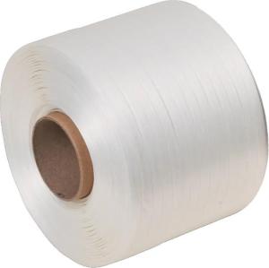 Packband WG 19mmx700m 2 fp