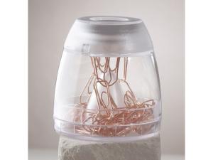 Gemkopp DURABLE Trend magnetisk transp