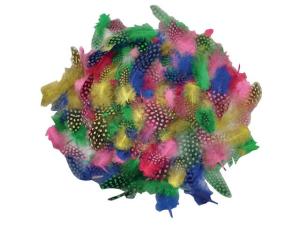 Fjädrar blandade färger 100 fp