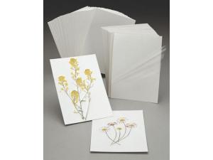 Kontaktplastkort 50 fp