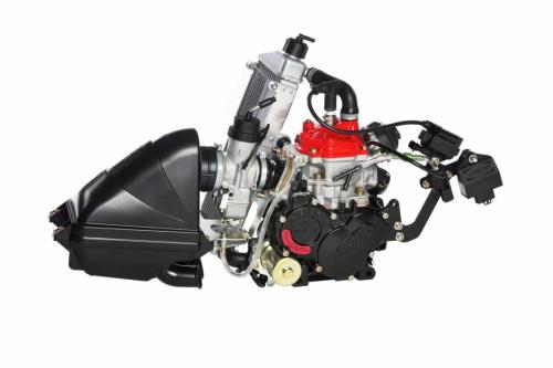 Rotax 125 Max senior Evo