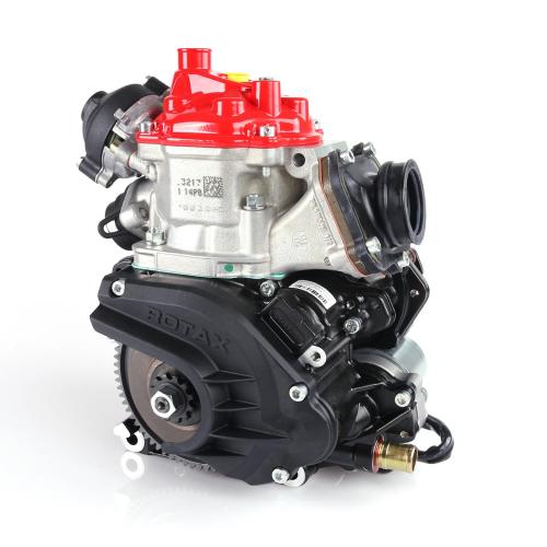 Rotax 125 Max Senior (Endast motor)