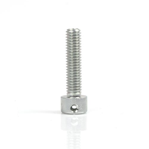 Insexskruv M6 x 25 mm med hål för Rotax plomb