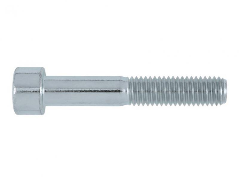 Insexskruv M6 x 60 mm