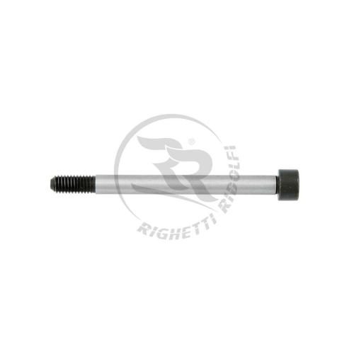 Spindelbult M10 x 110 mm