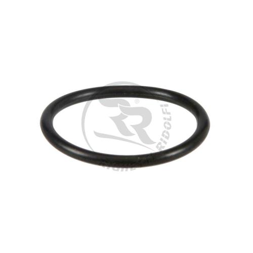 O-ring till Vattenpump