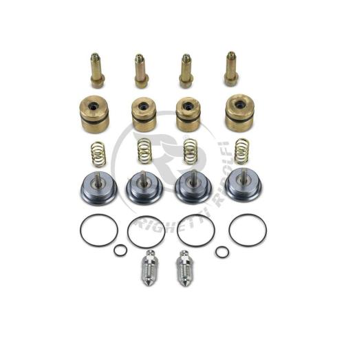 Renoveringssats RR Speed broms