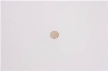 sil förgasare liten