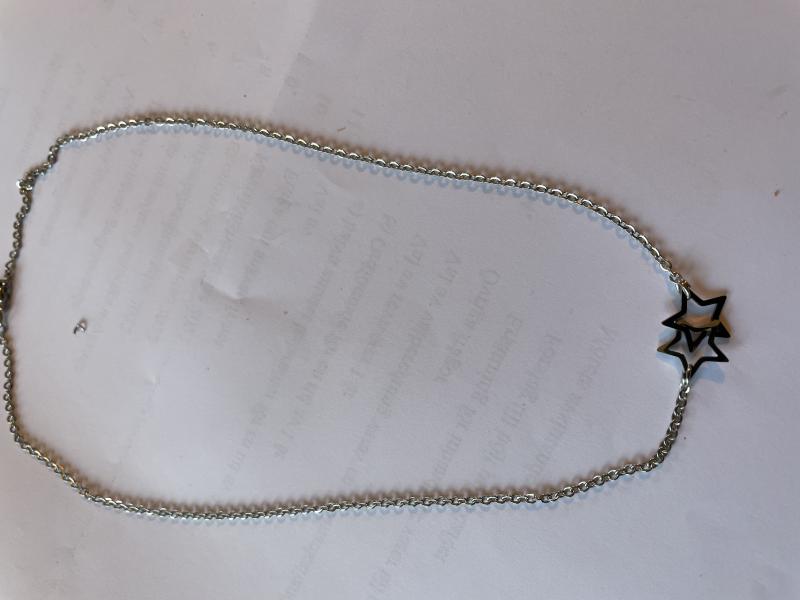 Halsband stål, 2-stjärnor