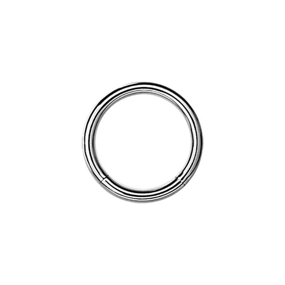Segment ring - Piercingsmycke ( Ej clicker )