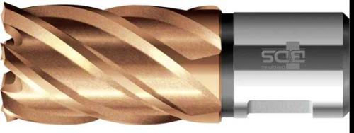 Kärnborr 12 mm kort HSS Vario PLUS BDS