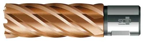 Kärnborr 12 mm långt HSS Vario PLUS BDS