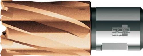 Kärnborr 14 mm kort HM BDS