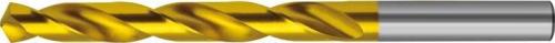 Spiralborr HM 01 mm Format TiN
