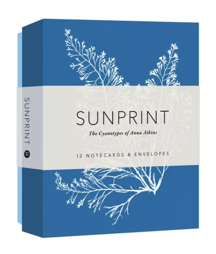 Sunprint Notecard Box