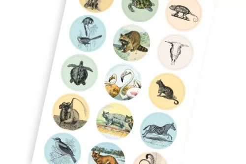 Natural History, Labels Sticker & Tapes