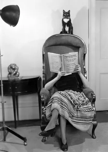 Woman reading with cat on back of chair, Dubbelvikt Kort