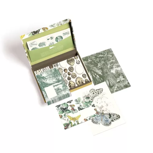 Natural History, Letter Writing Set