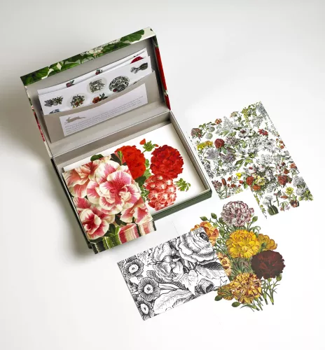 Flower Prints, Letter Writing Set