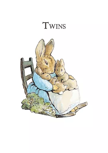 Beatrix Potter Twins, Greeting Card
