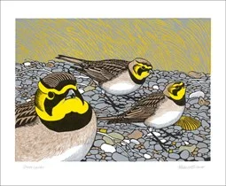 Shorelarks, Greeting Card