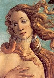 The Birth of Venus (Detail) (c. 1485), Greeting Card