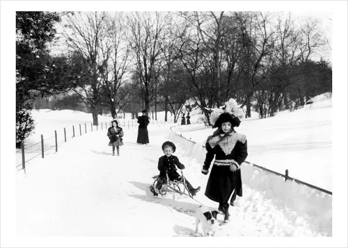Winter in Central Park New York 1920s, Greeting Card