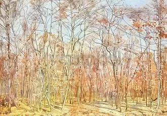 Beech-Forest, 1885, Postcard