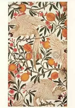 Cockatoo and Pomegranate, 1899, Postcard