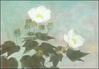 Confederate Roses, 1982, Postcard