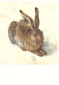 Field Hare, 1502, Postcard