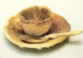 Fur-covered cup, saucer and spoon, Postcard