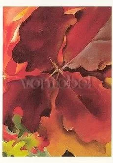 Oak Leaves, Postcard