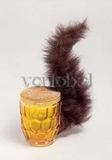 Squirrel, 1969, Postcard