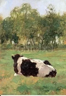 Cow in Pasture, 1900, Postcard