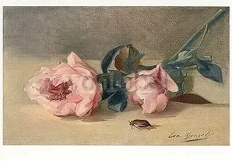 Peonies and May-bug, 1871/72, Postcard