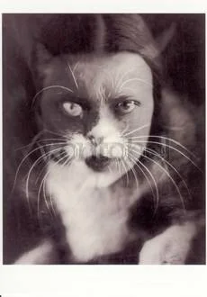 Cat and I, Postcard