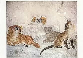 Cats and Dogs, Postcard