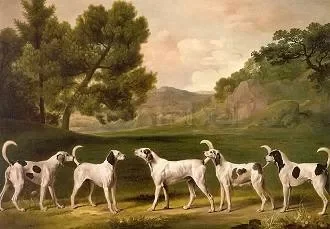 Five of Lord Rockingham's Hounds, 1762, Postcard