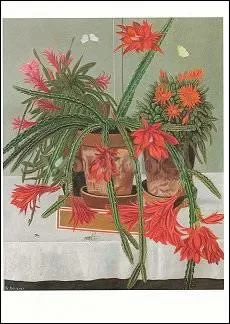 Cactuses and Grasshopper, 1943, Postcard