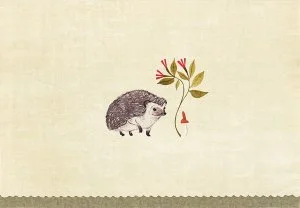 Hedgehog, Notecard Box with 14 cards