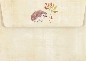 Hedgehog, Notecard Box with 14 cards