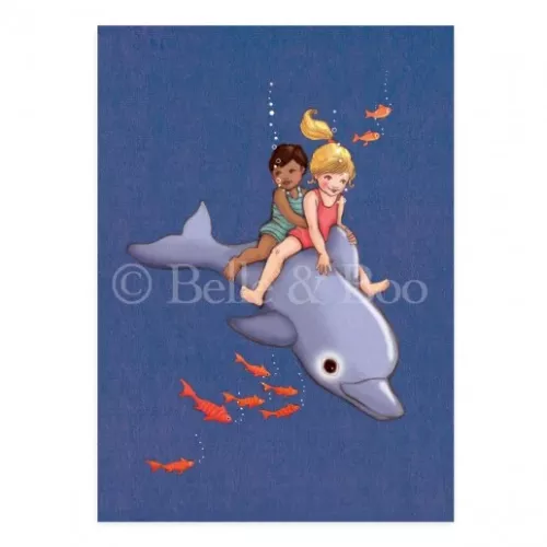 Dolphin Adventure, Postcard