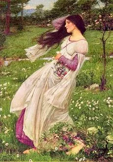 Windflowers, Postcard