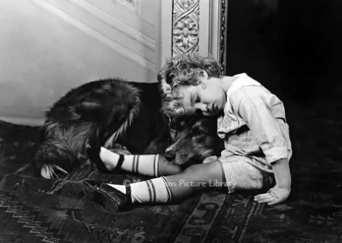 Boy and dog asleep, Greeting card