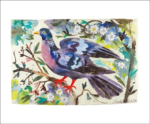 Wood Pigeon, Greeting Card