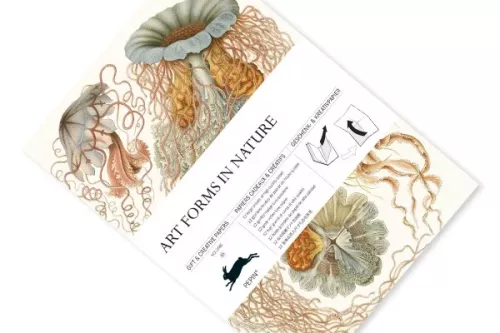 Art Forms in Nature, Gift & Creative Paper Book